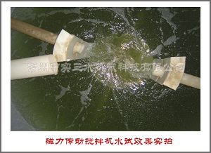 側入式磁力傳動攪拌機水試實拍