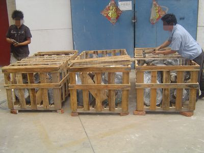 新疆中石油攪拌機發貨