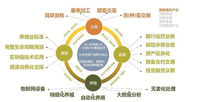 基于區(qū)塊鏈技術(shù)的中國(guó)農(nóng)畜產(chǎn)品質(zhì)量安全可追溯體系簡(jiǎn)析——兼論品牌管理價(jià)值